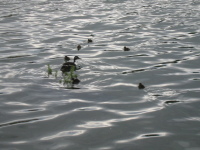 lakes4.jpg