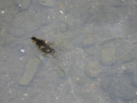 lakes6.jpg