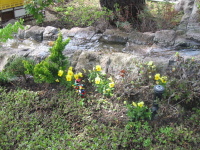 img_0093.jpg