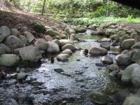 img_0060.jpg