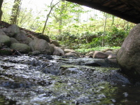 img_0062.jpg