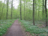 img_0083.jpg