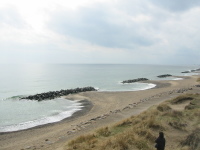 stb_0007.jpg