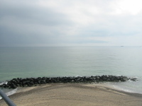 std_0009.jpg