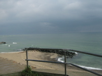 stf_0011.jpg