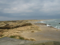 sth_0013.jpg