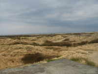 sti_0014.jpg