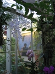 washington-dc-botanic-flowers-2.jpg