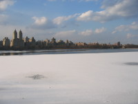 STC_0089.jpg