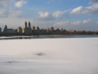 STD_0090.jpg