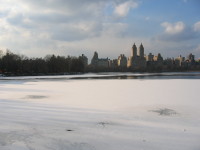 STE_0091.jpg