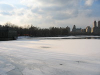 STF_0092.jpg