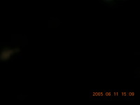 dscn0007.jpg