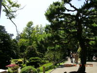 dscn0046.jpg