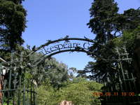 dscn0049.jpg