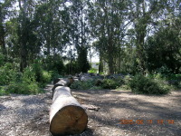 dscn0055.jpg