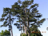 dscn0058.jpg