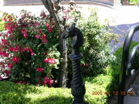 dscn0098.jpg