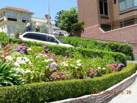 dscn0099.jpg