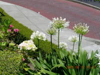dscn0102.jpg