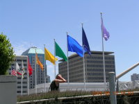 dscn0137.jpg