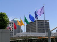 dscn0138.jpg