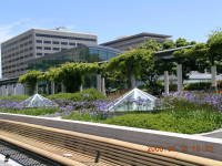 dscn0144.jpg