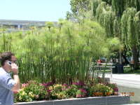 dscn0151.jpg