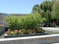 dscn0152.jpg