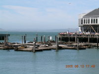 dscn0160.jpg