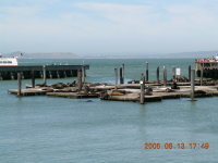 dscn0161.jpg