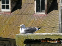 dscn0176.jpg