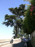 dscn0178.jpg