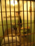 dscn0198.jpg