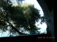 dscn0213.jpg