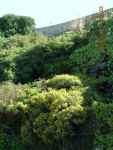 dscn0217.jpg