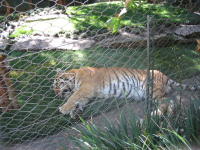 IMG_0114.jpg