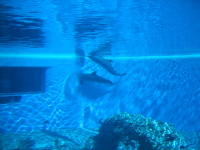 IMG_0118.jpg