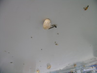 dscn1393.jpg