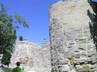 dscn1484.jpg