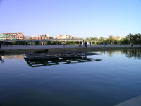 dscn1513.jpg