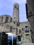 dscn1524.jpg