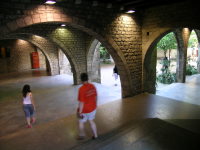 dscn1550.jpg