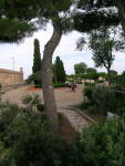 dscn1606.jpg