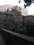 dscn1624.jpg