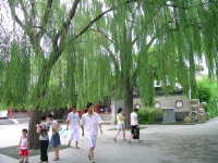 dscn1975.jpg