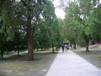 dscn1981.jpg