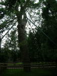 dscn1984.jpg