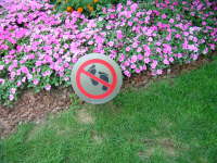 dscn1989.jpg