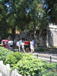 img_0517.jpg